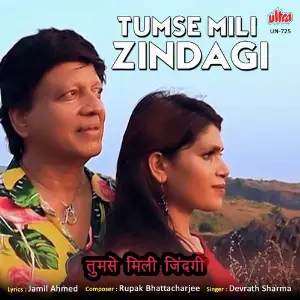 Tumse Mili Zindagi image