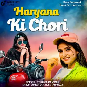 Haryana Ki Chori image