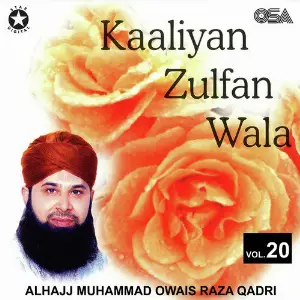 Kaaliyan Zulfan Wala, Vol. 20 image