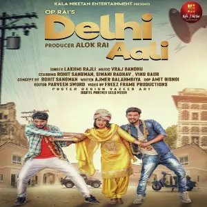 Delhi Aali image