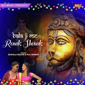 Bala Ji Me Ronak Shonak image