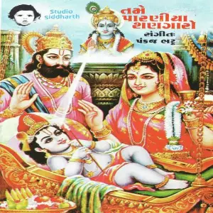 Tame Paraniya Shangaro (Hemant Chauhan Vol. -33) image