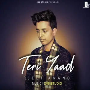 Teri Yaad image