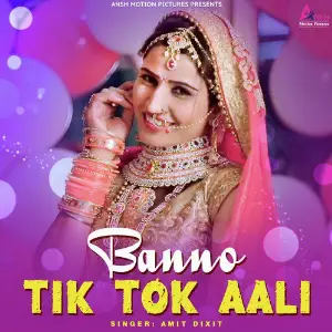Banno Tik Tok Aali - Single image