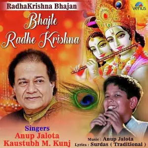 Bhajle Radhe Krishna image