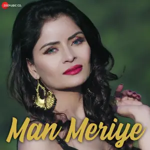 Man Meriye image