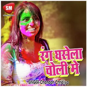 Rang Ghase La Choli Me (Bhojpuri Holi Song) image