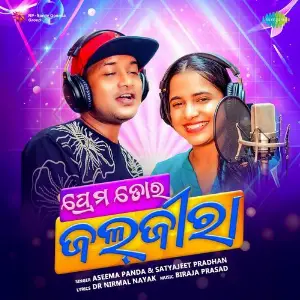 Prema Tora Jaljeera image