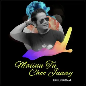 Maiinu Tu Choo Jaaay image