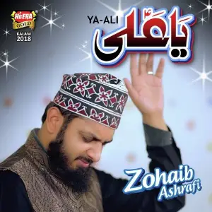 Ya Ali image