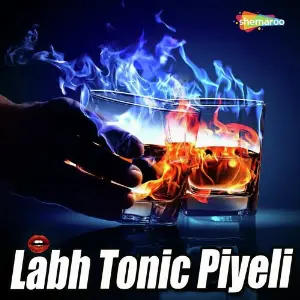 Labh Tonic Piyeli image