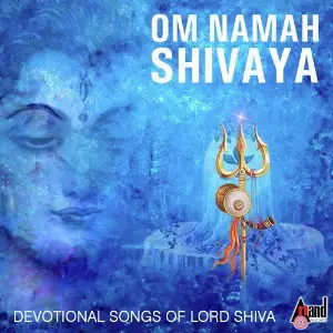 Om Namah Shivaya image