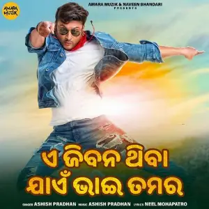 A Jibana Thibaa Jaayen Bhai Tamara image