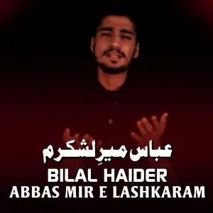 Abbas Mir E Lashkaram image