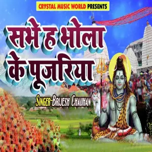 Sabhe Ha Bhola Ke Pujariya image