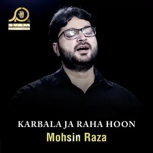 Karbala Ja Raha Hoon image