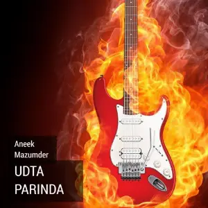 Udta Parinda image