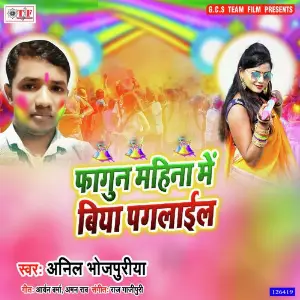 Fagun Mahina Me Biya Paglail image