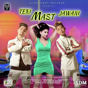 Teri Mast Jawani image