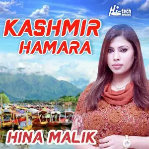 Kashmir Hamara image