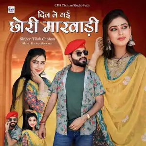 Dil Le Gai Chhori Marwadi image