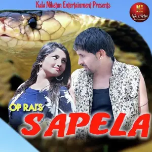 Sapela image