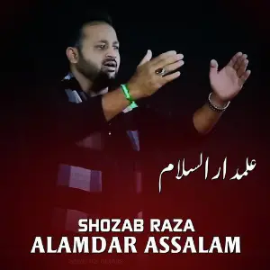 Alamdar Assalam image