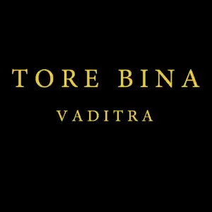 Tore Bina image