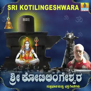 Sri Kotilingeshwara image