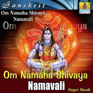 Om Namaha Shivaya Namavali image