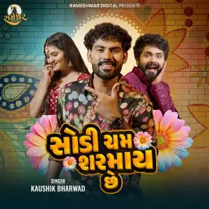 Sodi Cham Sharmay Chhe image