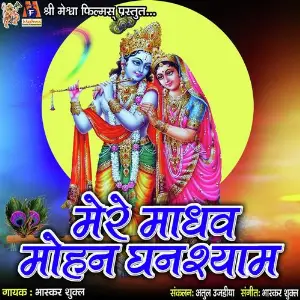 Mere Madhav Mohan Ghanshyam image