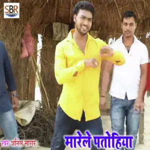 Marele Patohiya image