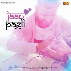 Jaan Pagli image