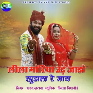 Leela Moriya Ude Jazhe Khudala Re Maay image