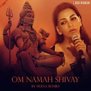 Om Namah Shivay image