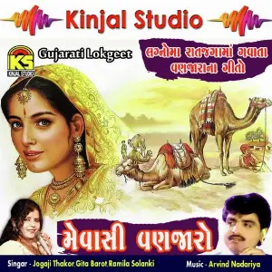 Mevashi Vanzaro image