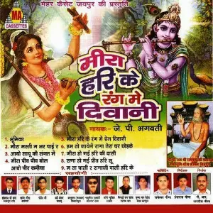 Meera Hari Ke Rang Main Deewani image