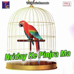 Hriday Ke Pinjra Ma Various Artists