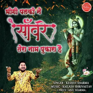 Bhegi Palko Ne Sanware Tera Naam Pukara Hai image