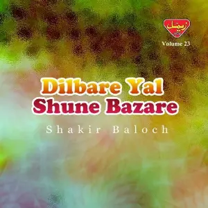 Dilbare Yal Shune Bazare, Vol. 23 image