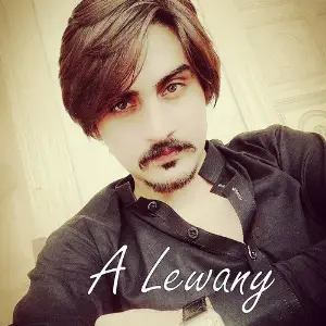A Lewany - Single image
