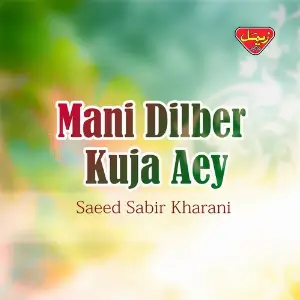 Mani Dilber Kuja Aey image