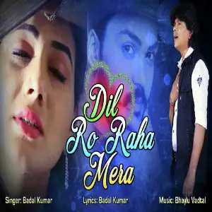Dil Ro Raha Mera image