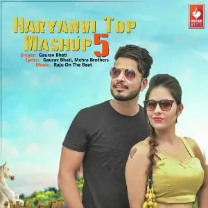 Haryanvi Top Mashup 5 image
