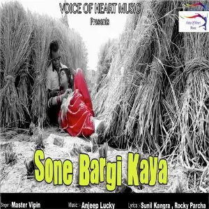 Sone Bargi Kaya image