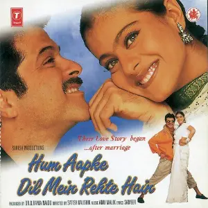 Hum Aapke Dil Mein Rehte Hain Various Artists