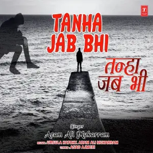 Tanha Jab Bhi image