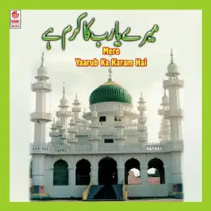Mere Yaarub Ka Karam image