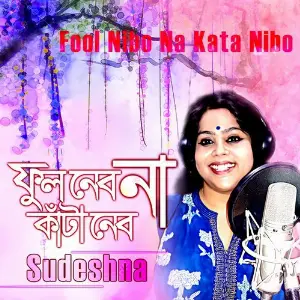 Fool Nibo Na Kata Nibo image